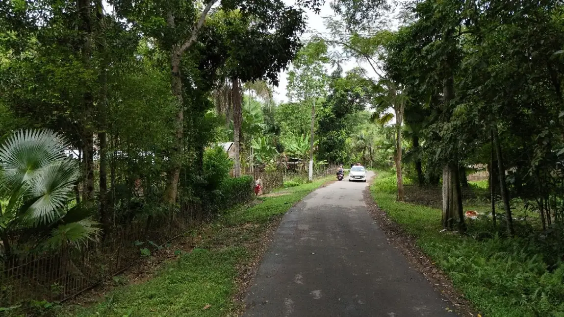 A shaded village lane running between trees towards the Nine Story Foundation office at Mautgaon