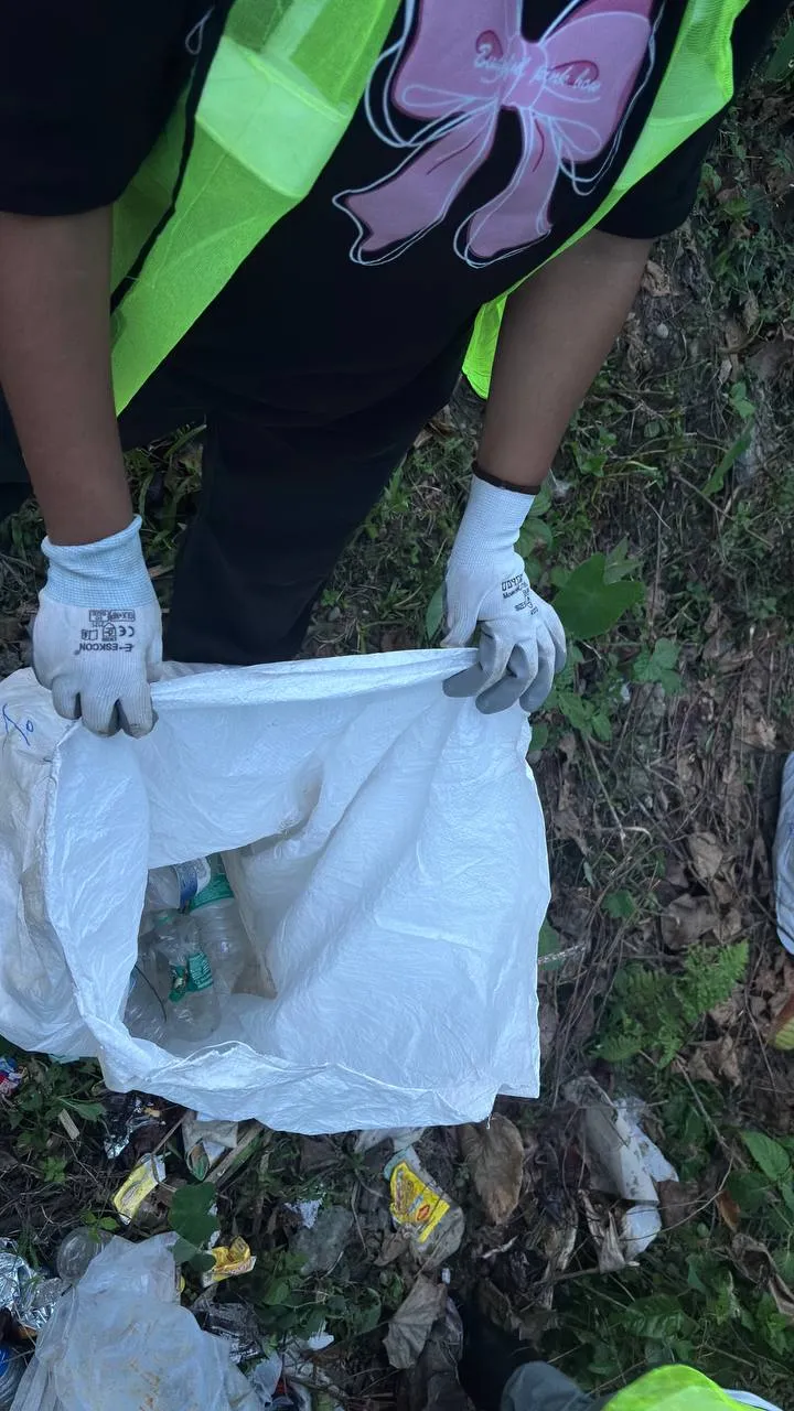 Gloved hands holding a sack open while picking plastic bottles out of the undergrowth